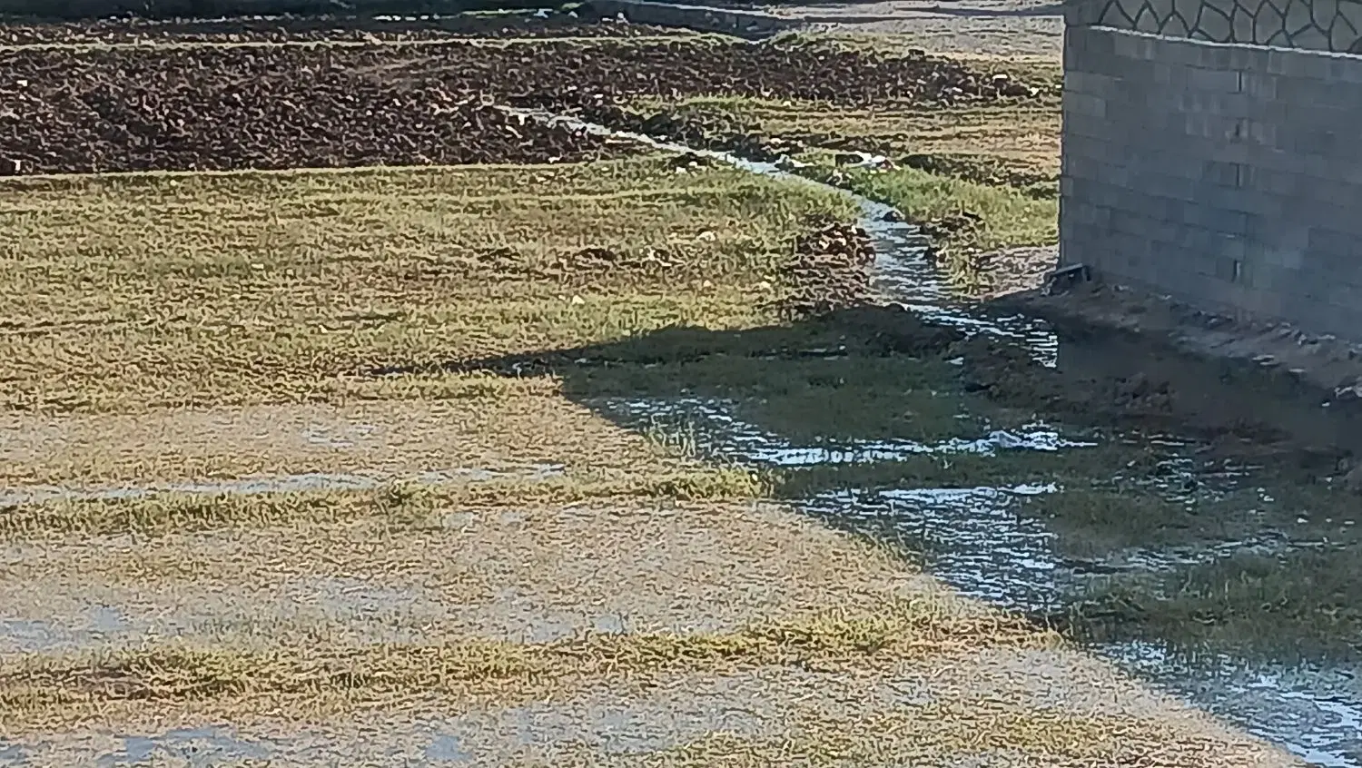زمین ویلایی در باغ معروف
