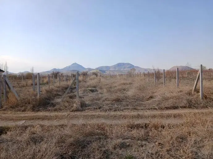 زمین زراعی یوالار کشتیبان