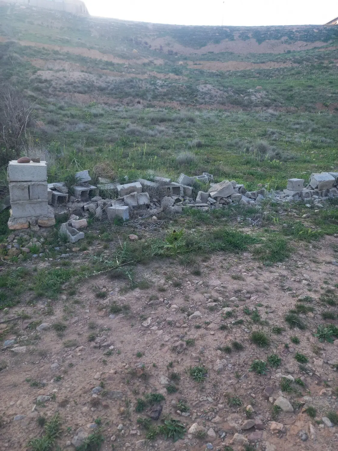 کوهسار جاده آردهه
