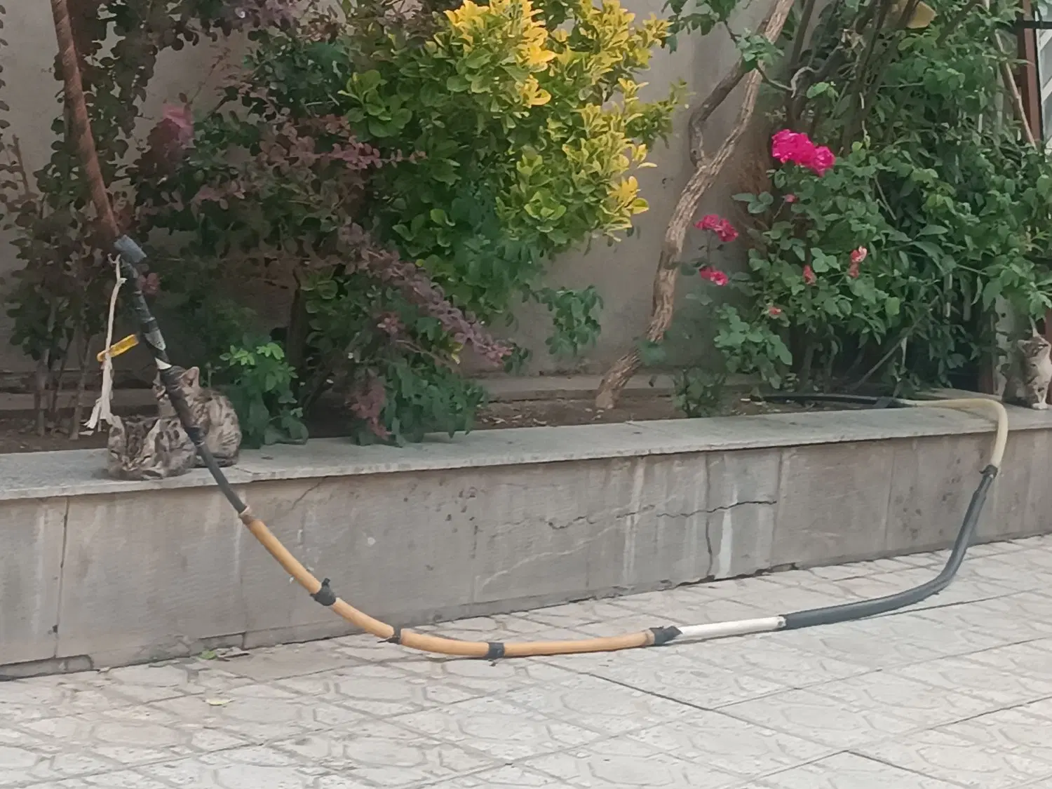 یکباب مغازه تجاری رهن واجاره