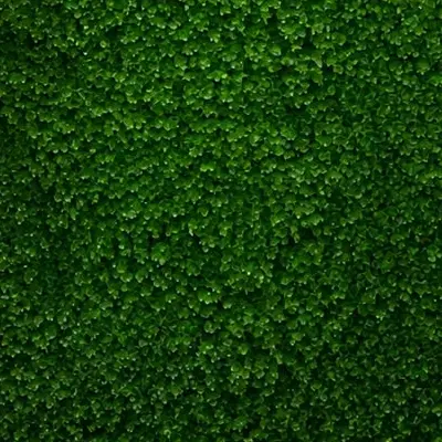 ۵۰۰ متری باغی سوسن آباد