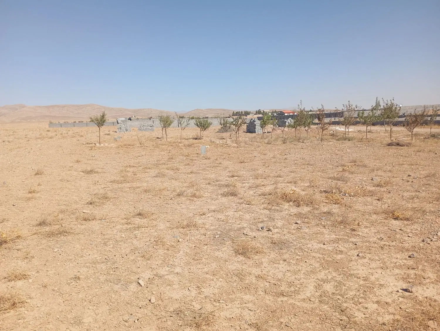 زمین