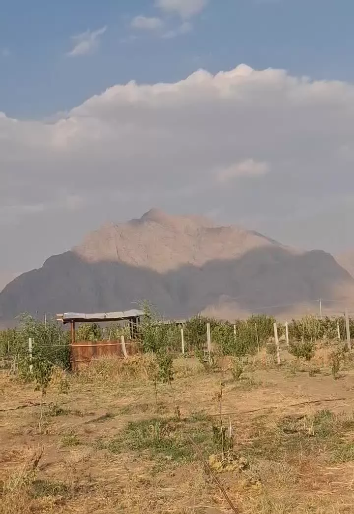 فروش زمین وباغ ۲کیلومتری شهر