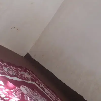 همخونه. منزل مجردی. همخانه