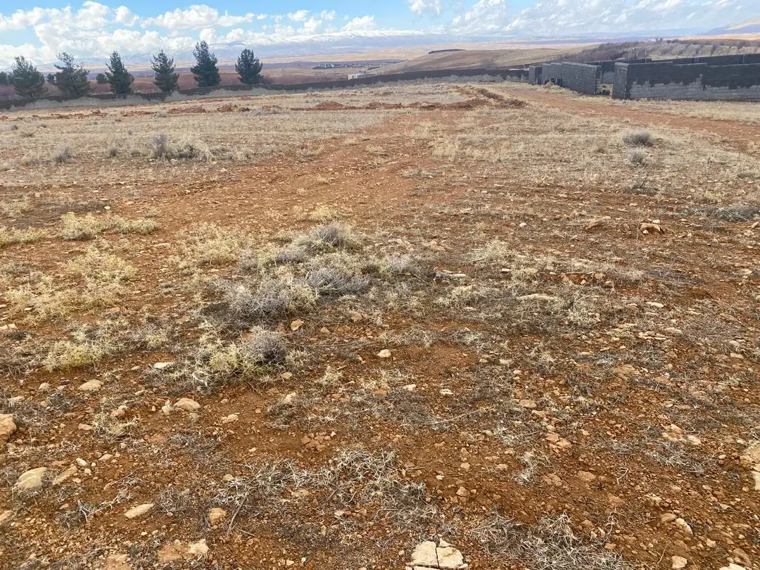 زمین باغچه کودیان
