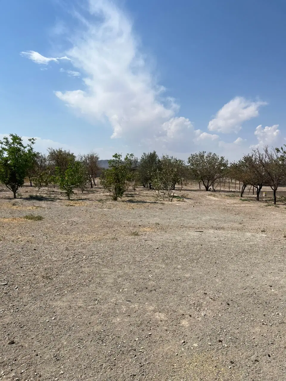 زمین چهار دیواری تکمیل