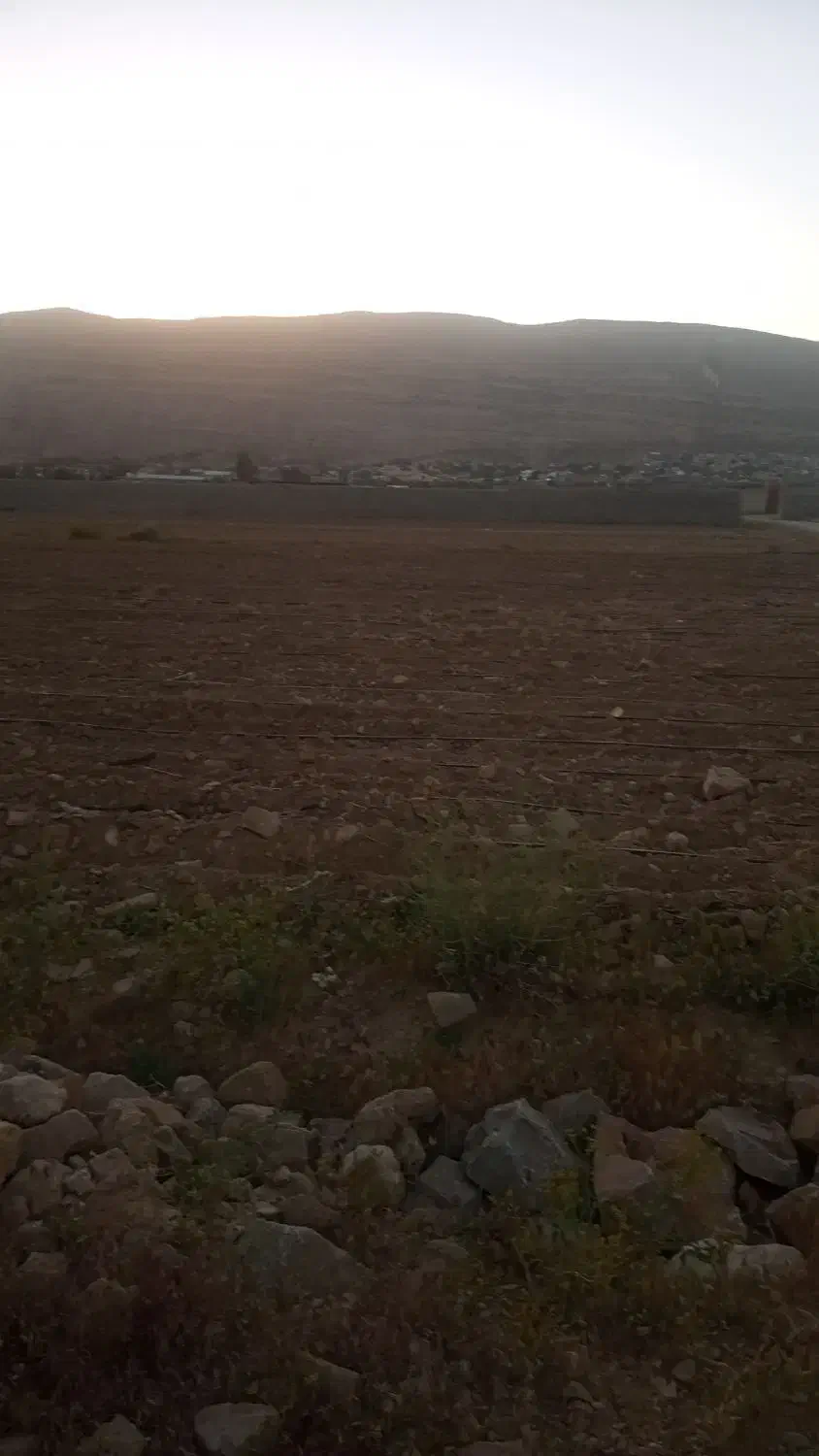 زمین های زراع