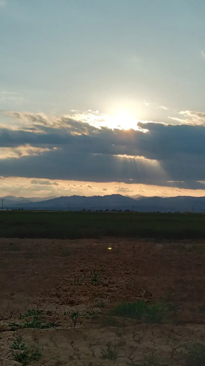 باغ پسته ۲هزار متر
