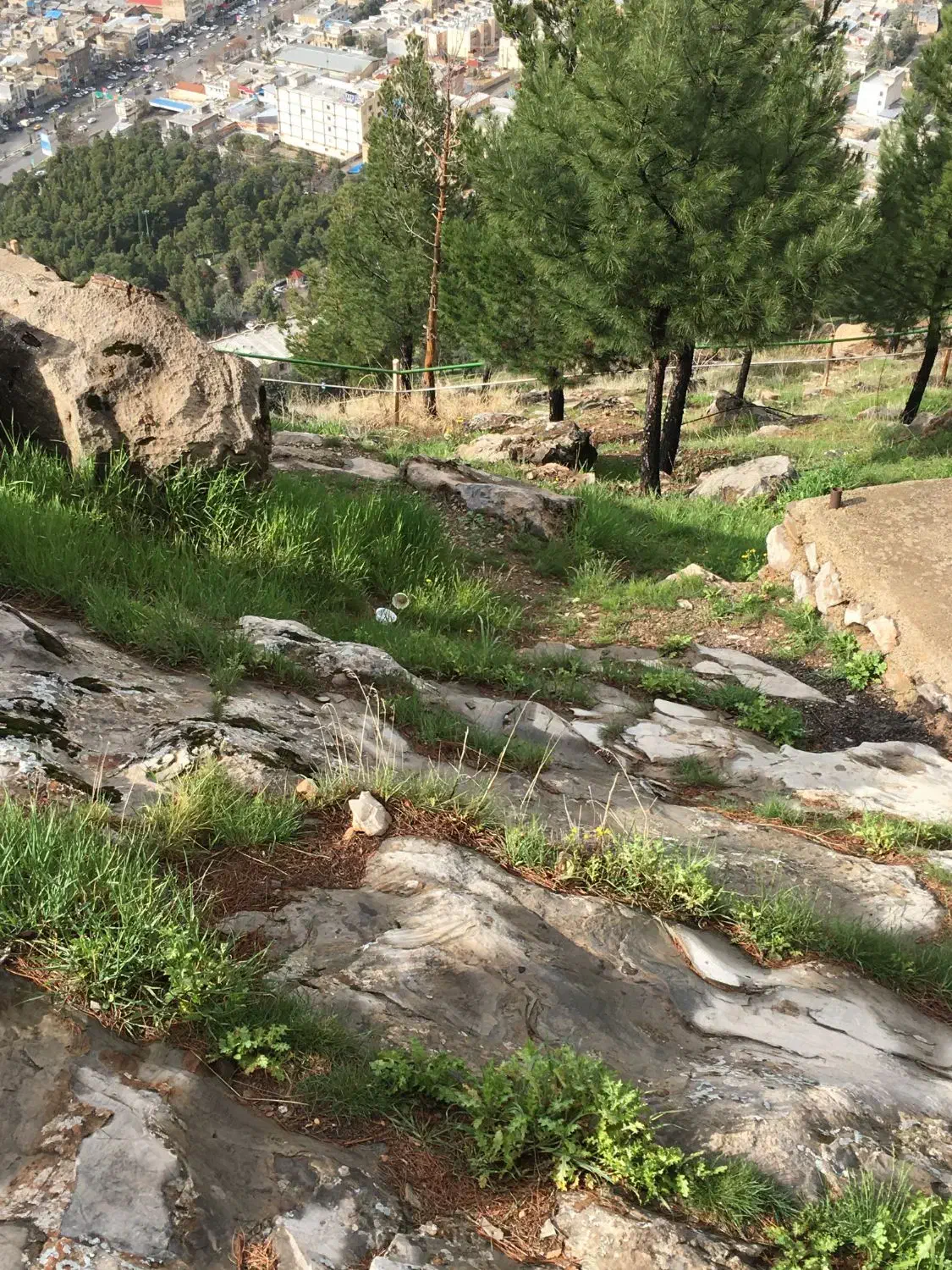 زمین تجاری مسکونی