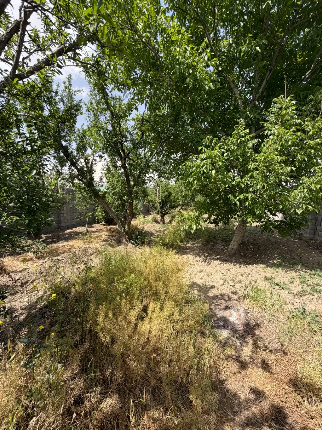 باغچه۴۰۵متر تهراندشت سرخاب کردان