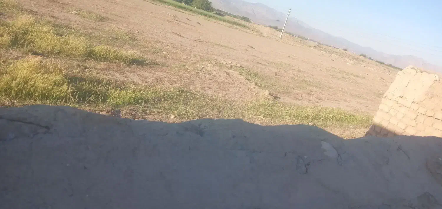 زمین کشاورزی