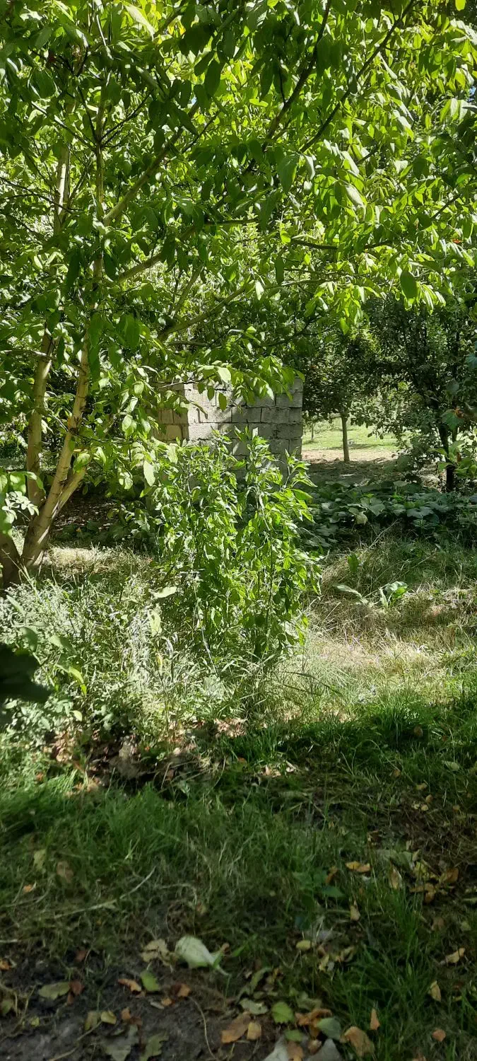 ۱۷۰۰متر باغ دهبوره راه با سند و برق وبرج زیر کانال