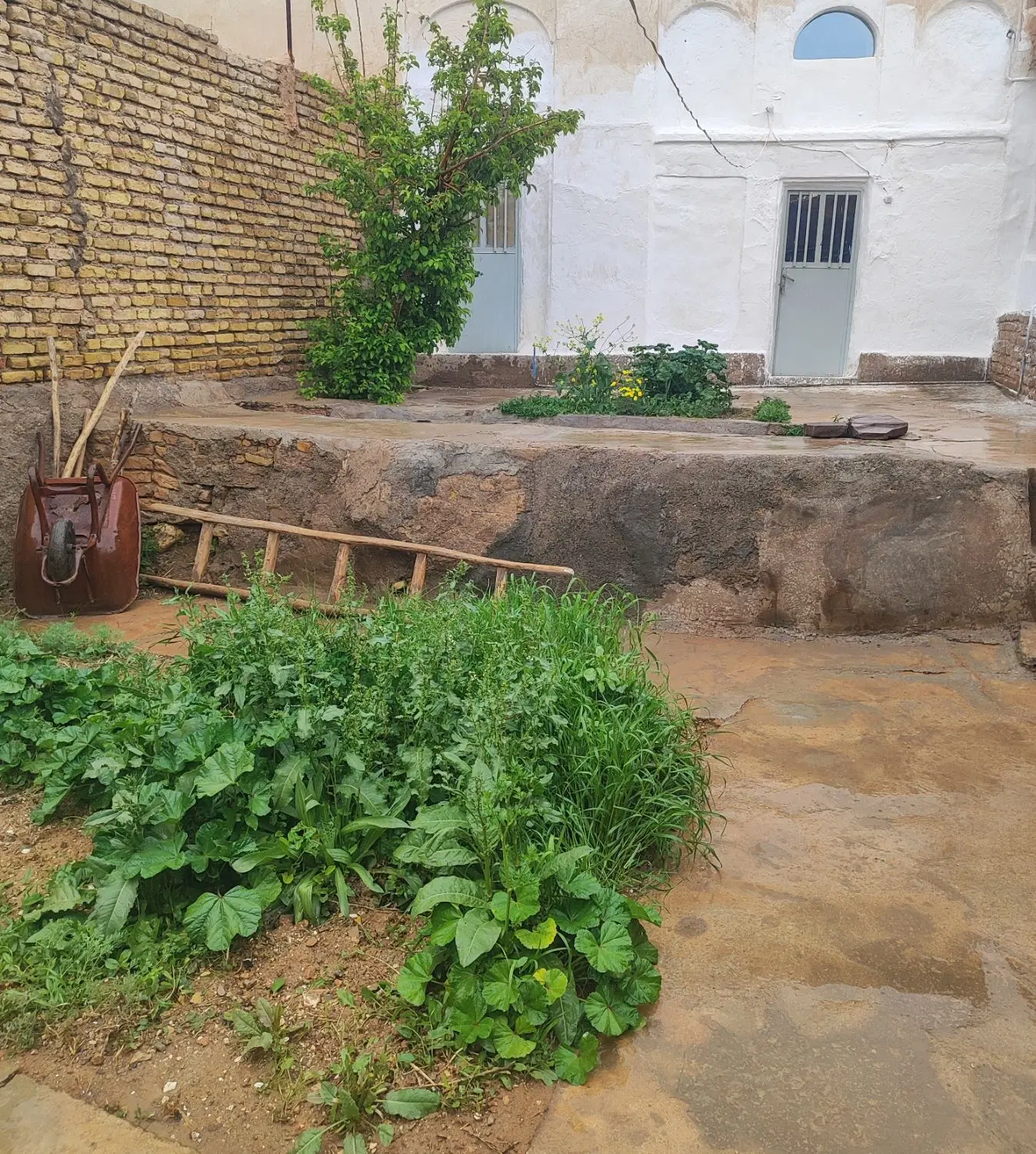 اجاره خانه ویلایی زیارت