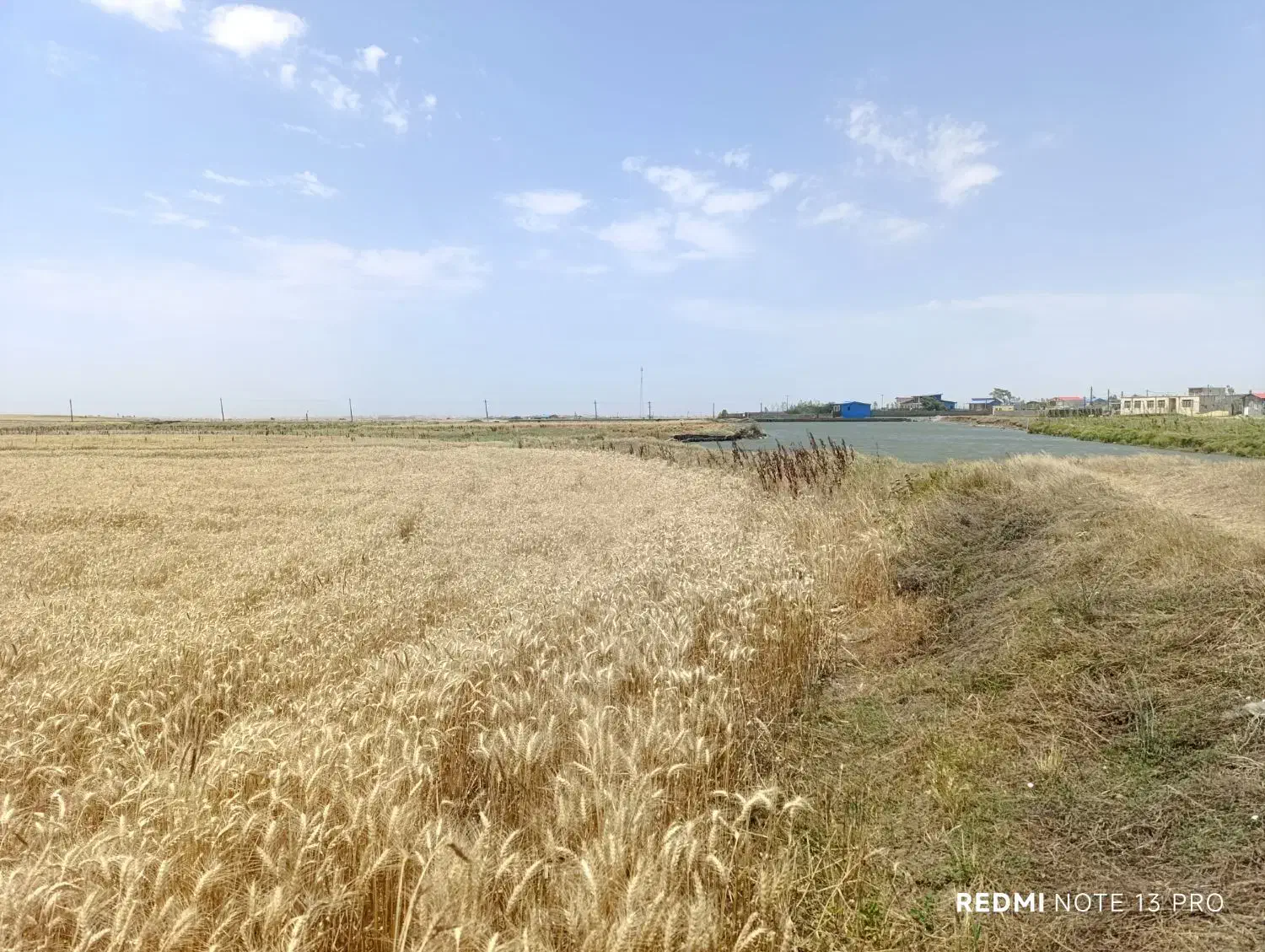 زمین کشاورزی آبی دگرماندرق نمین ویلکیچ