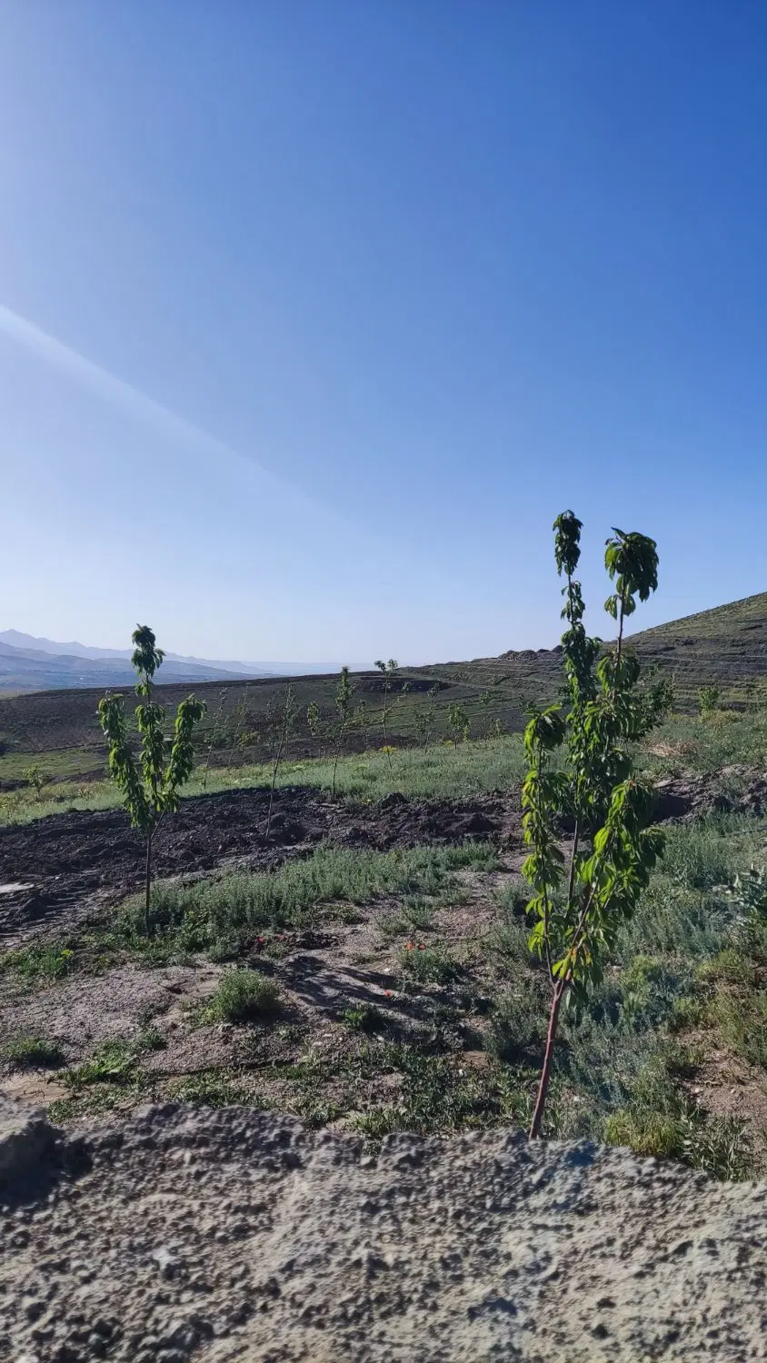 فروش زمین باغی در ورکانه