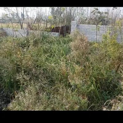 معاوضه زمین شما ل با خورو