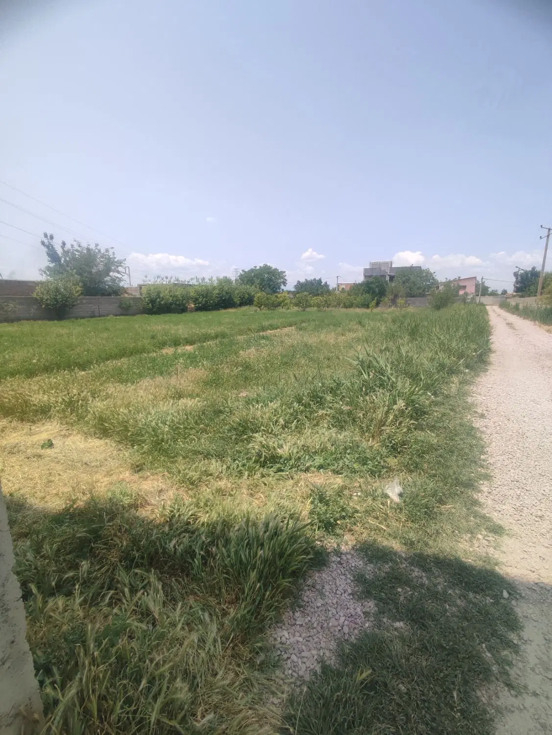 زمین مسکونی