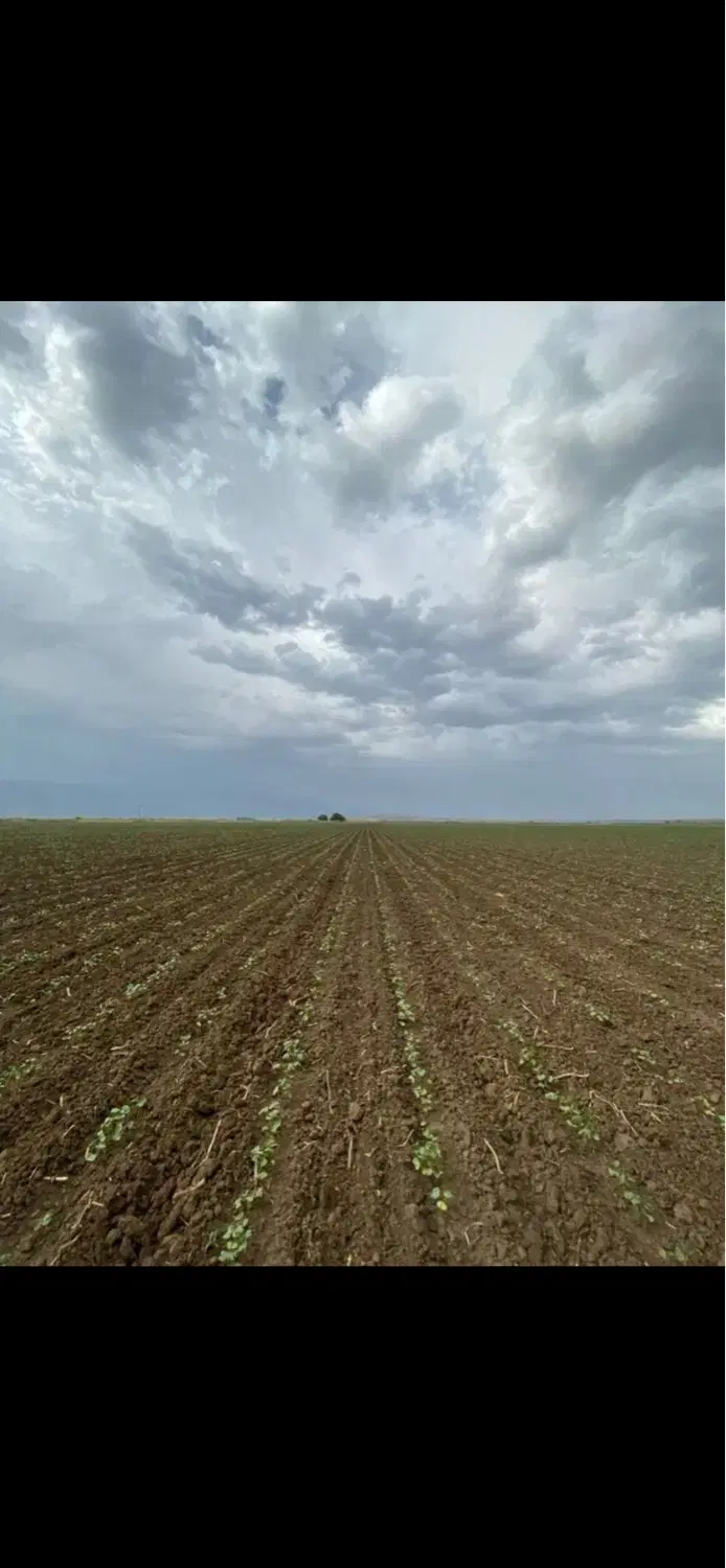 زمین بزرگ کشاورزی