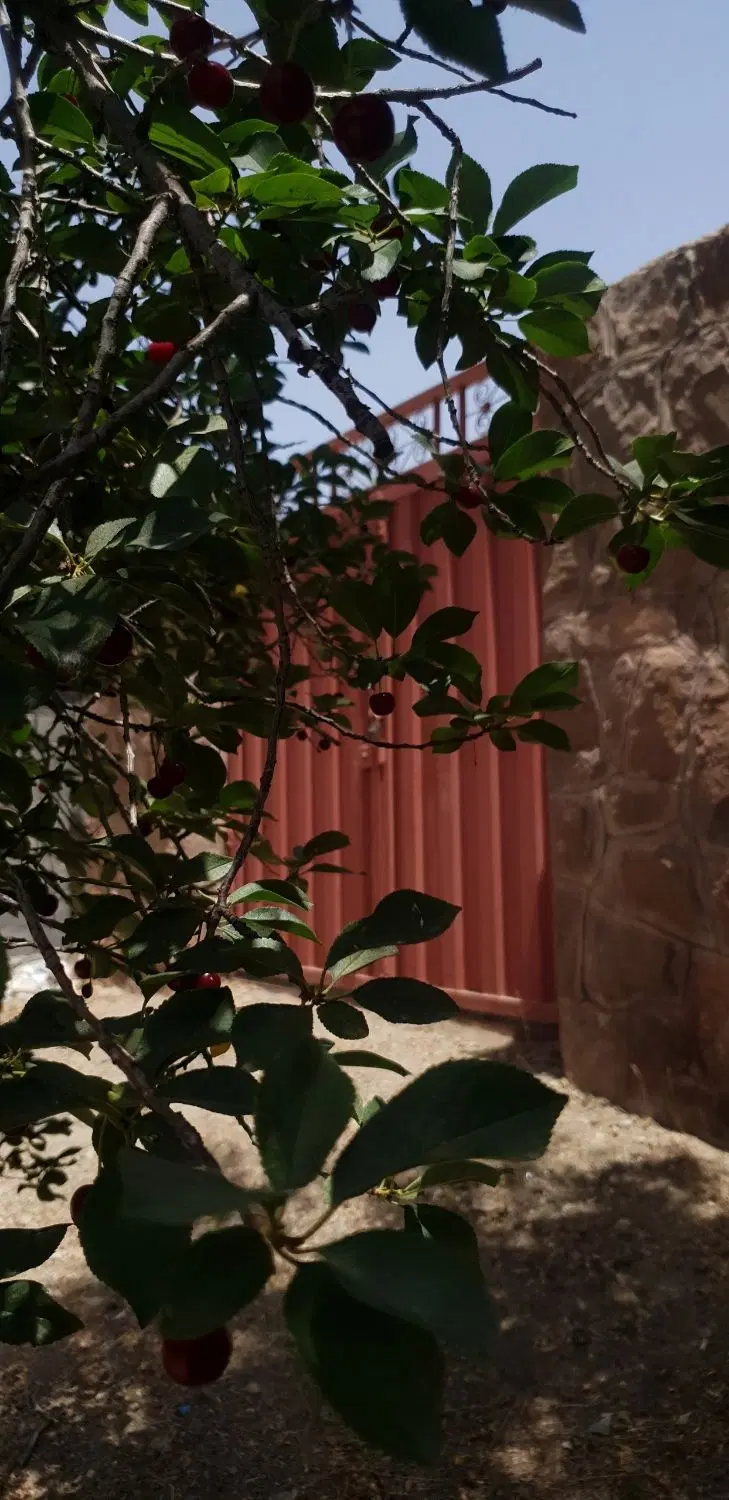 ۱۰۰۰متر زمین‌خوش‌قواره در مهرآباد