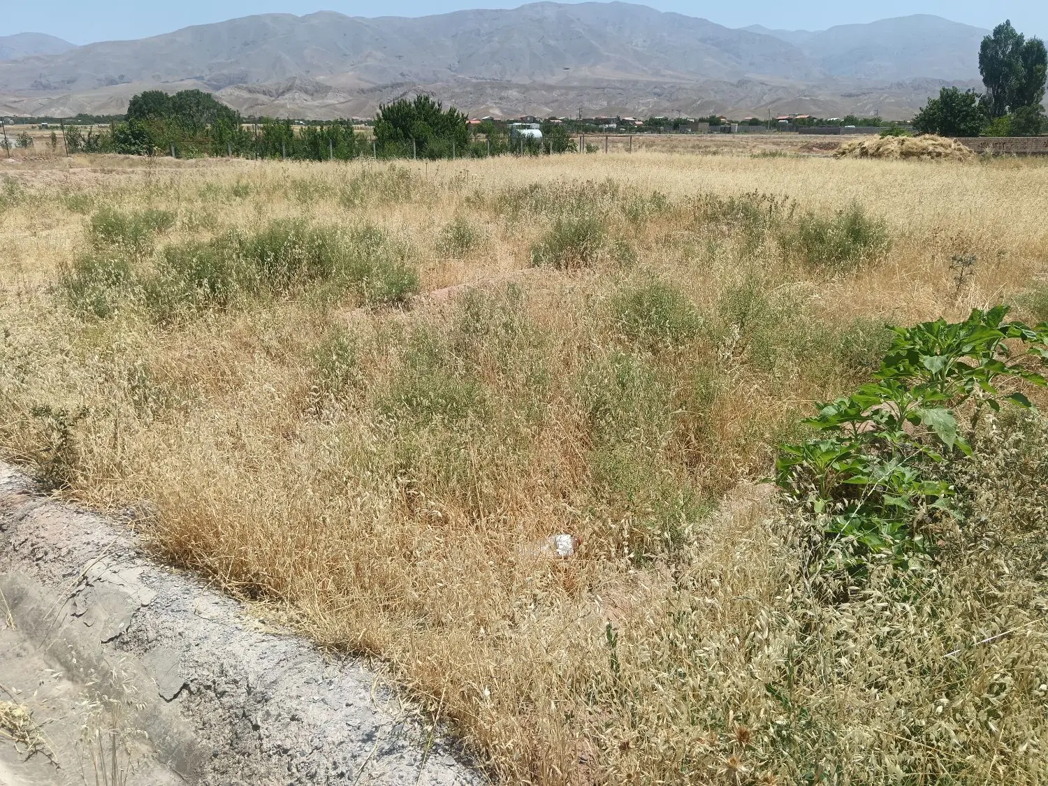 زمین در صومعه خیابان پرند