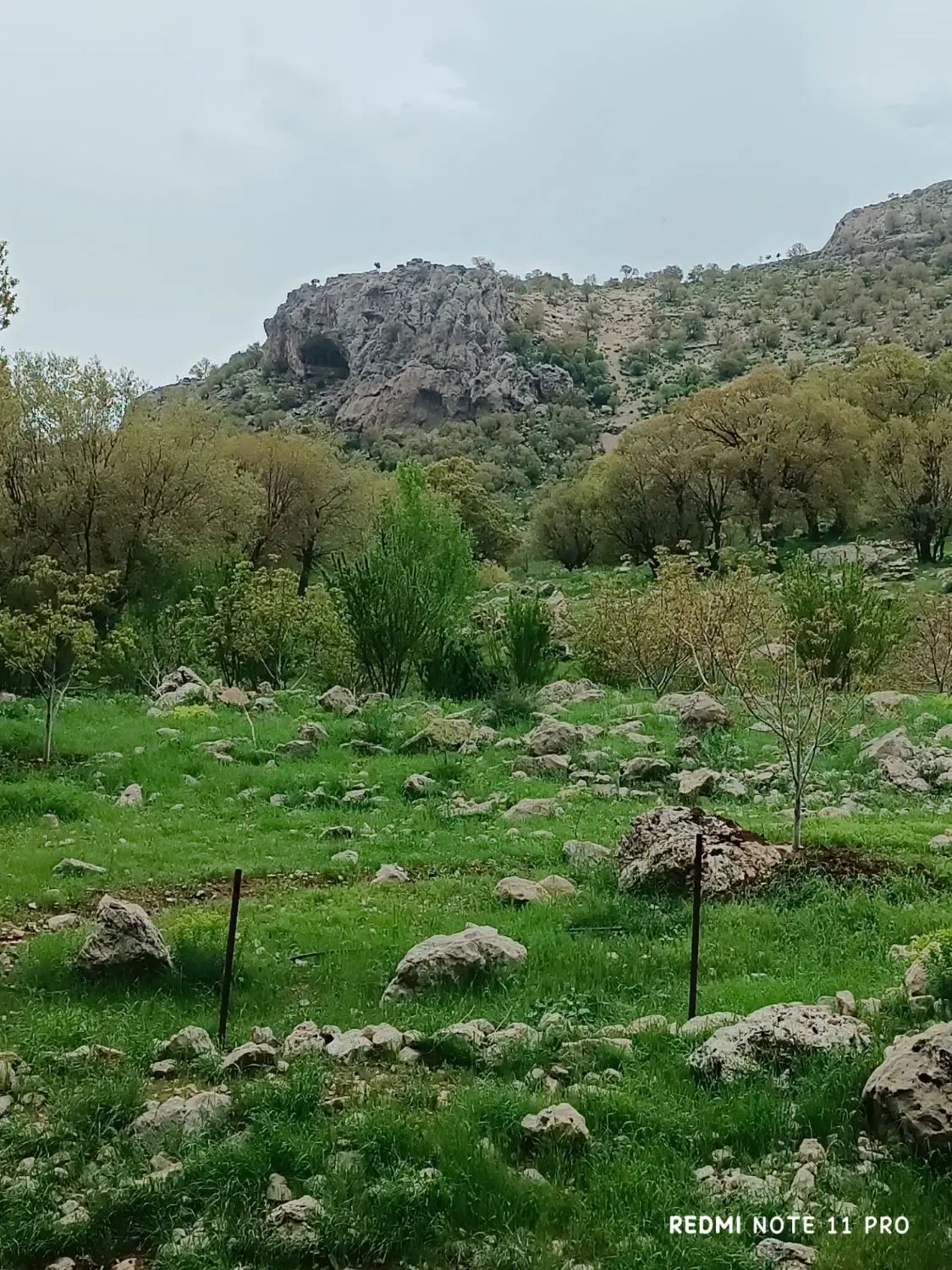 زمین مسکونی میلاد