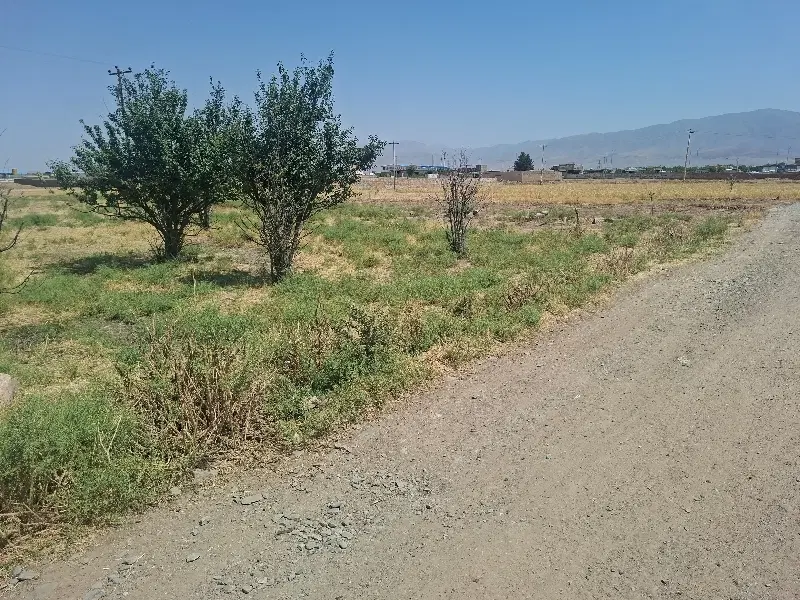 زمین پشت صحرا نورد
