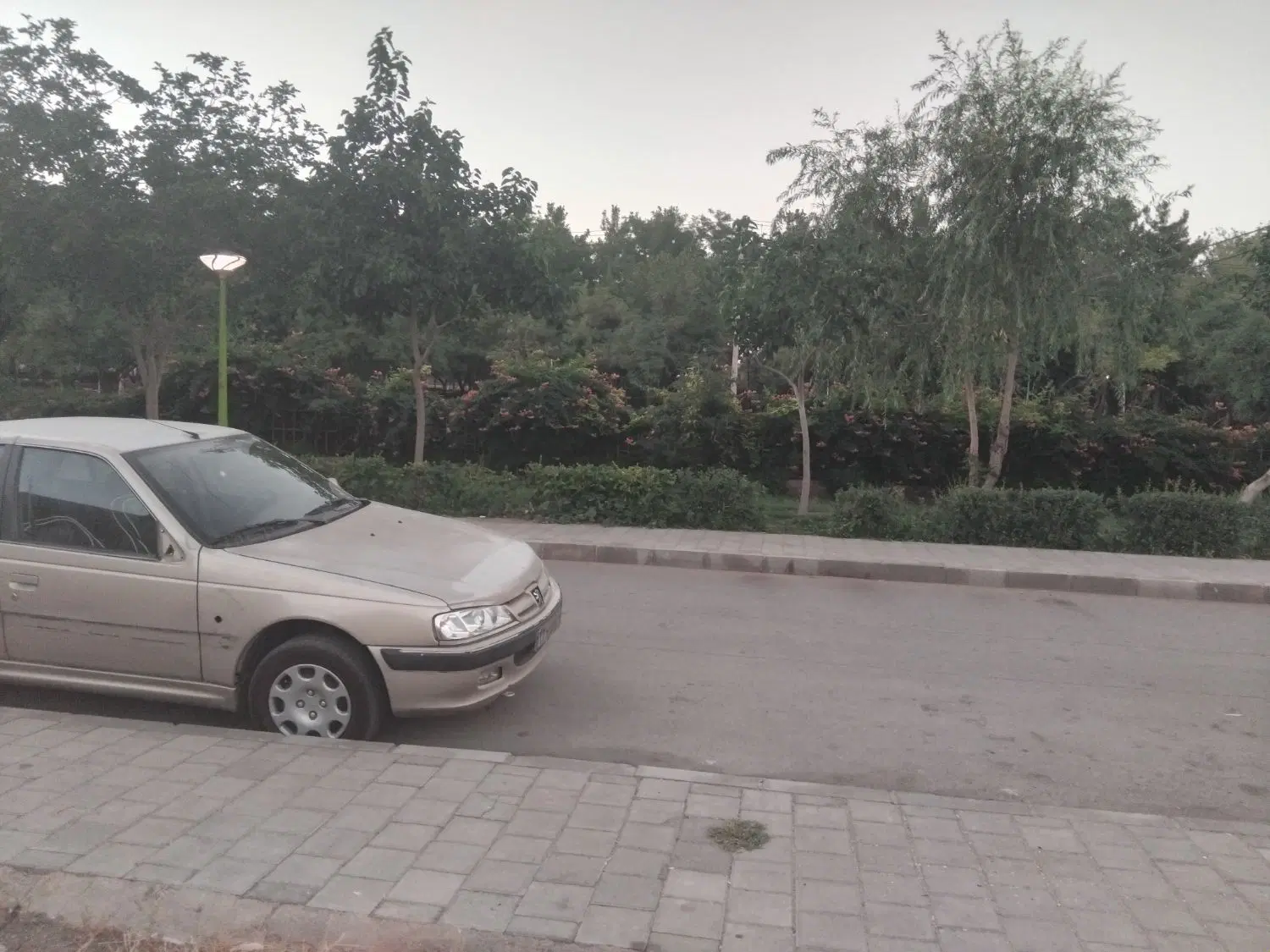زمین در بلال است بلال ۴۶ کنار مسجد