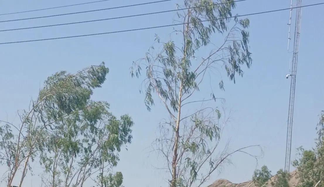 زمین ۳۱۵ متر پیامبر اعظم