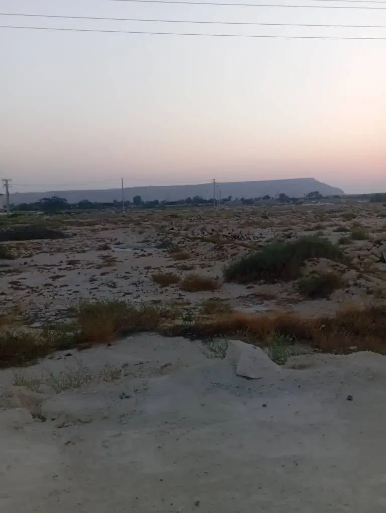 زمین گیاهدان