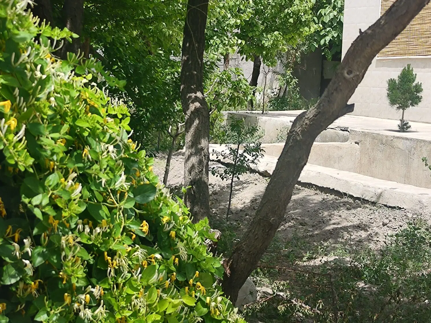 باغچه بازنشستگی با ارامش