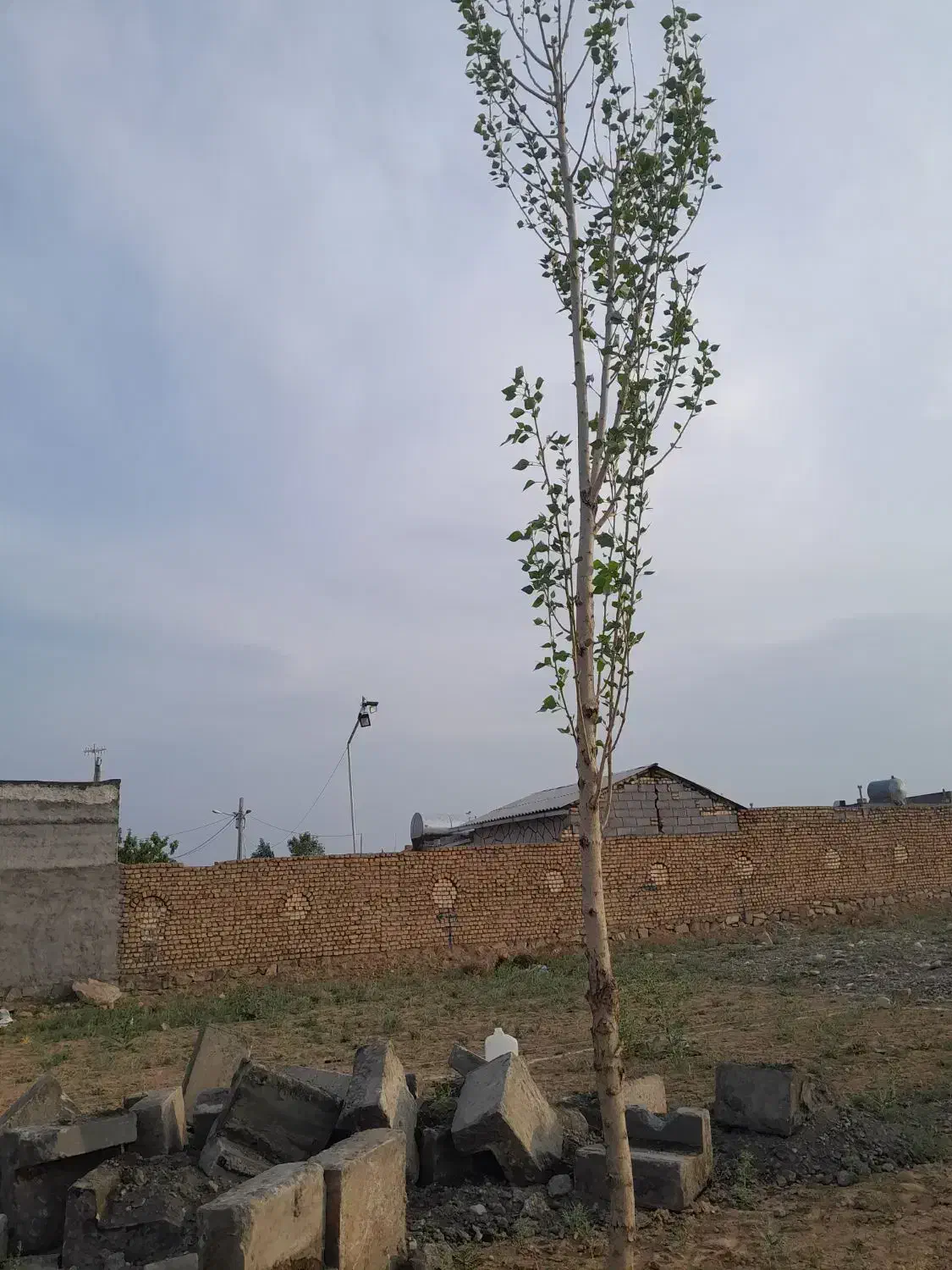 زمین  327متری معاوضه با خودرو