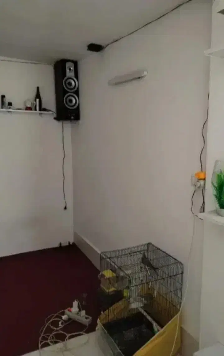 همخانه خانم