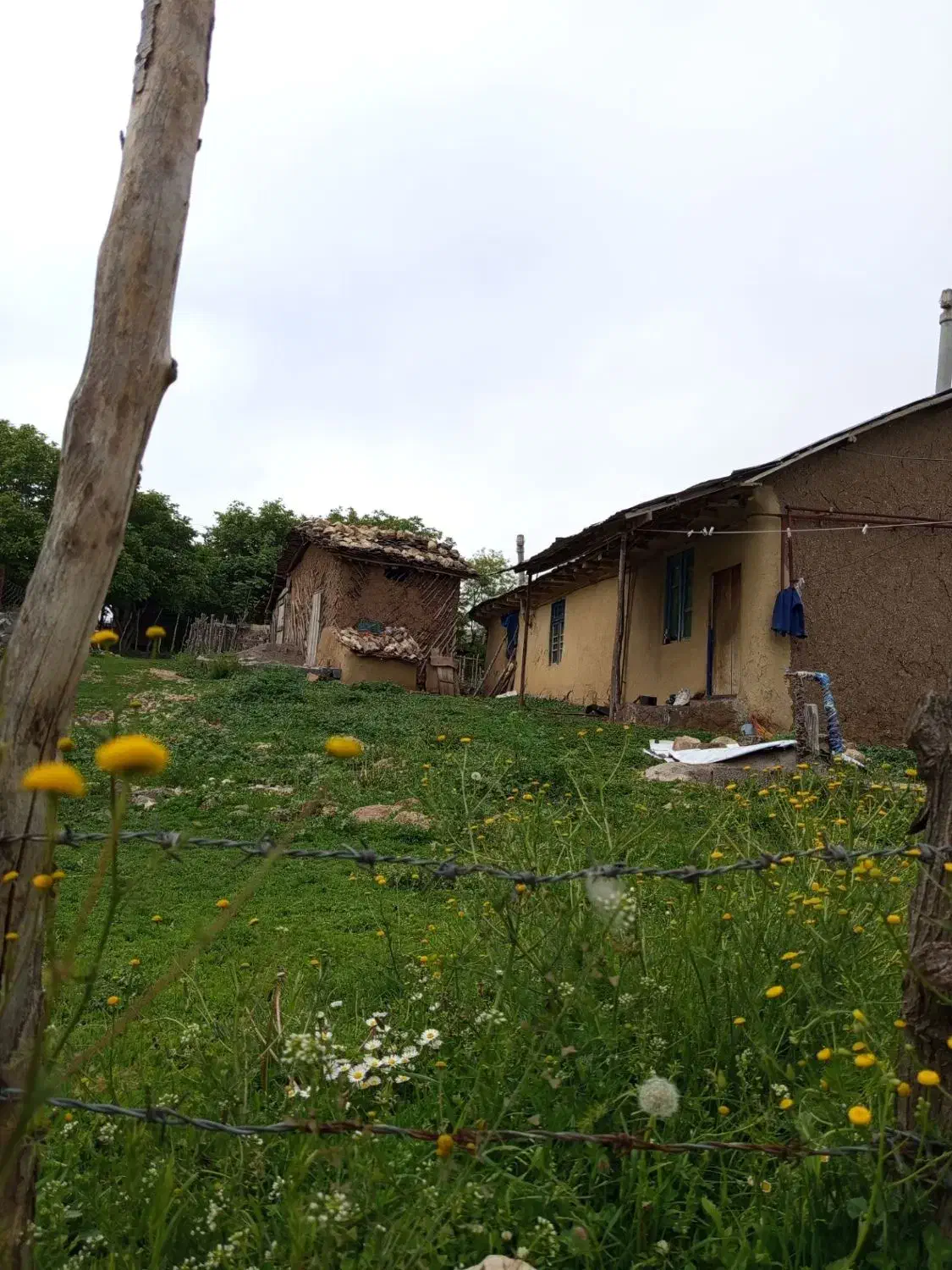 زمین 750 متری مسکونی