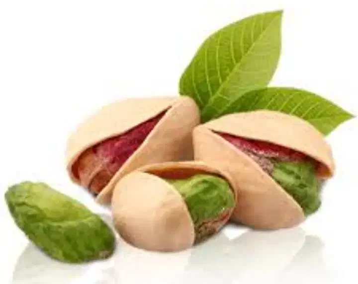 فروش باغ پسته