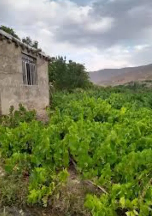 زمین نقلی کاکارضا