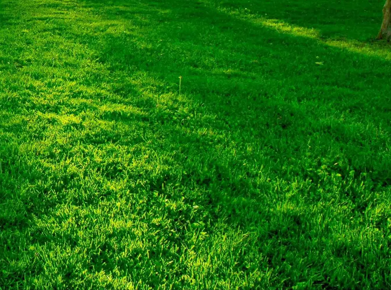 فروش زمین مسکونی