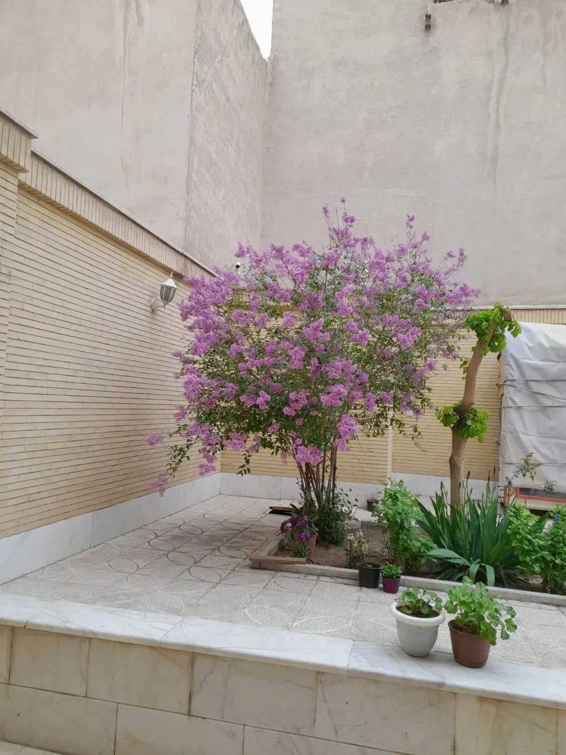 اجاره آپارتمان مناسب زوج
