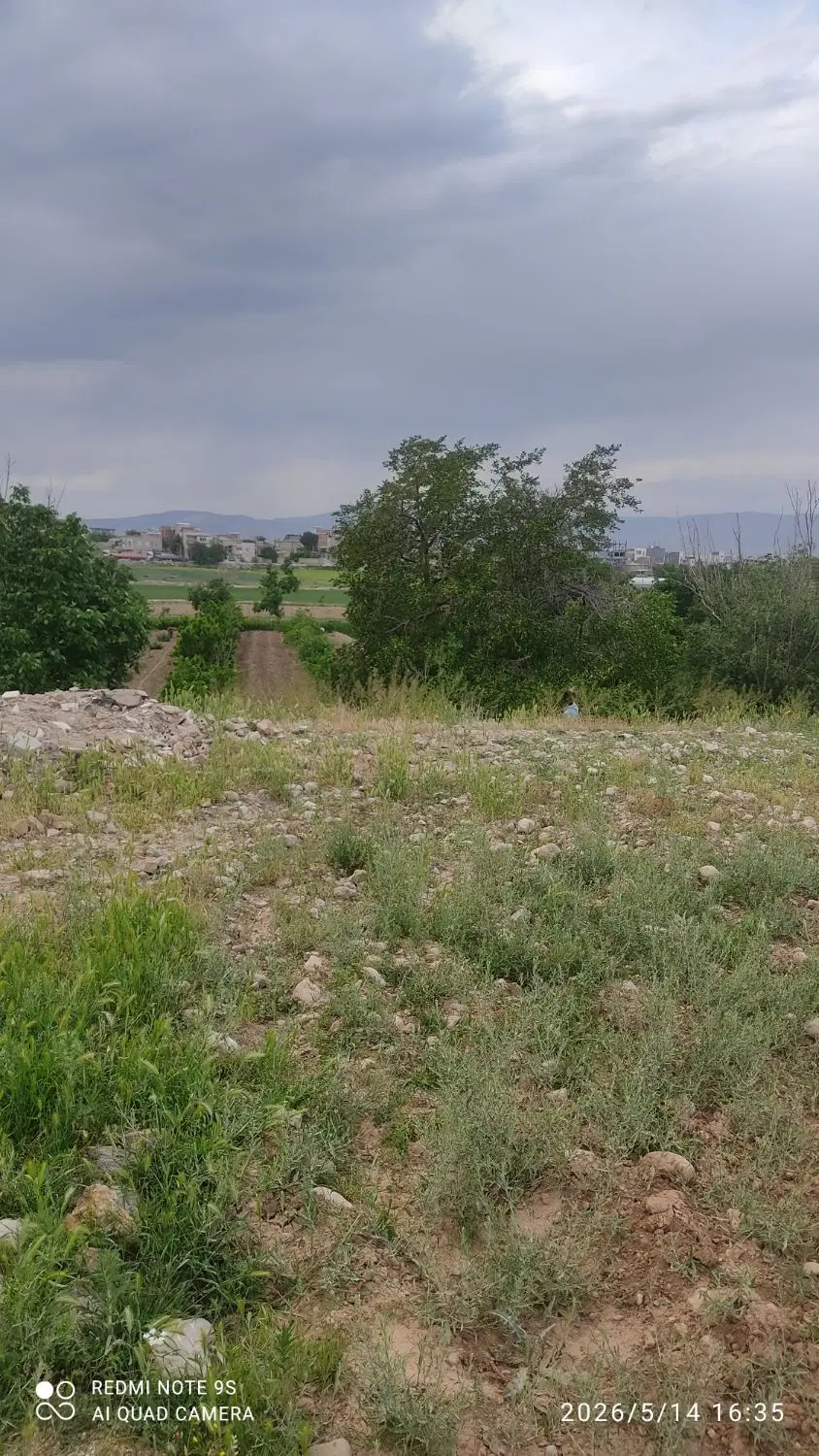 زمین باغی