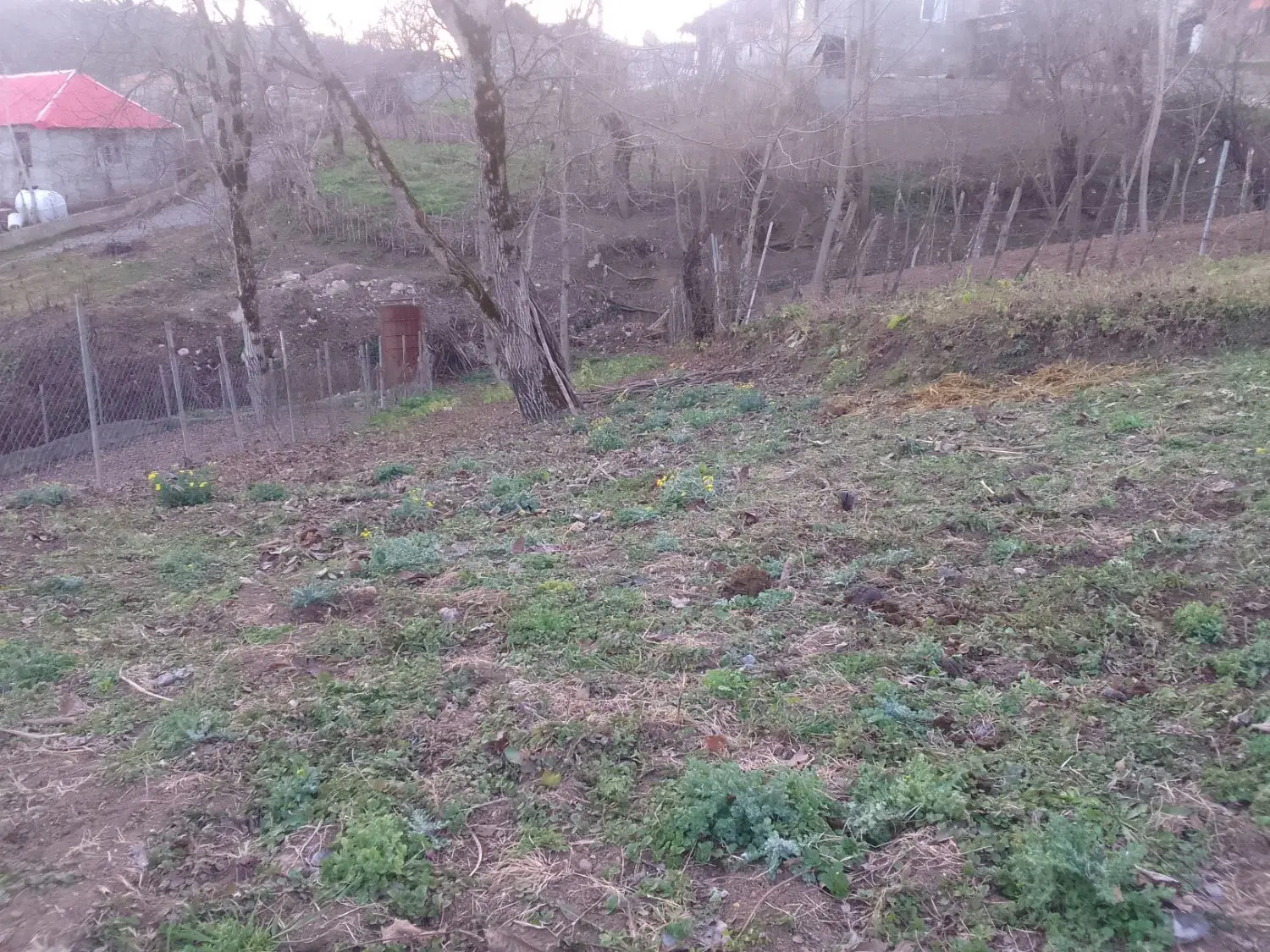 فروش زمین 340 متری در روستای سادات محله