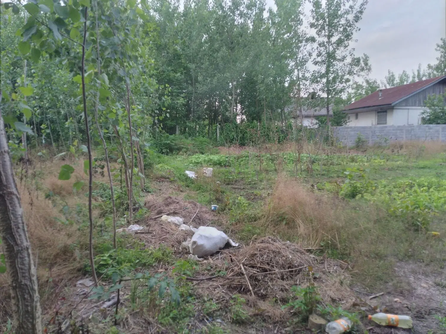 فروش زمین روستایی