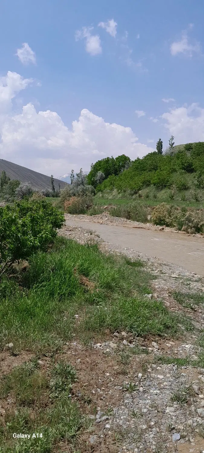زمین مسکونی