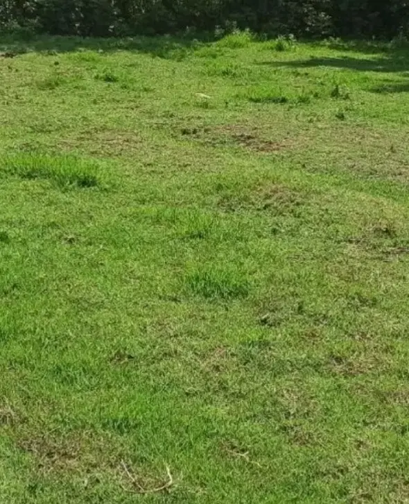 ۱۷۰متر زمین نصف مسکونی نصف باغی در سراوان