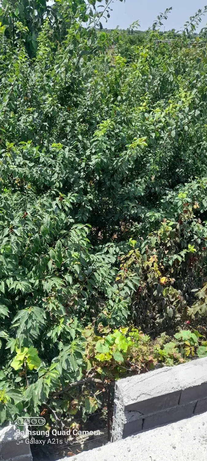 فروش‌زمین
