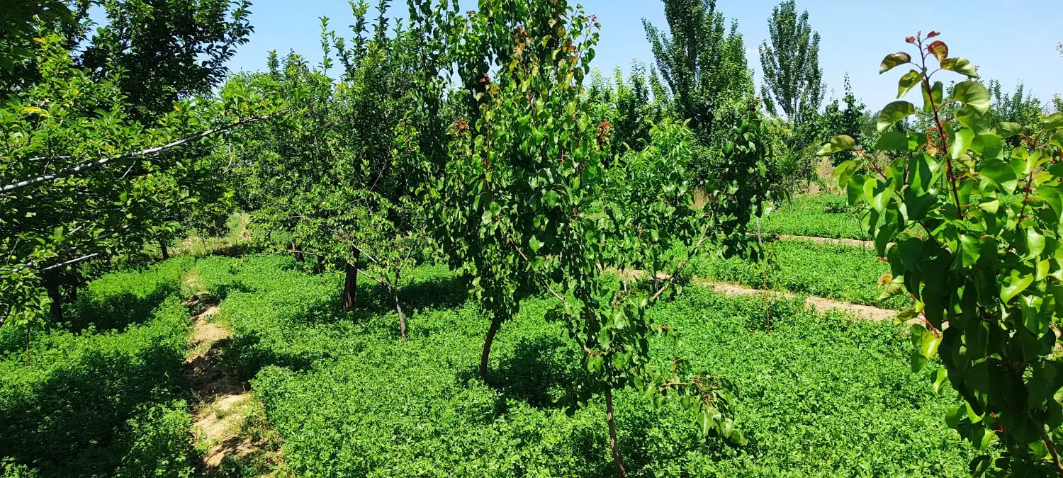 تقریباسه من 1500متر بایکساعت آب دینام