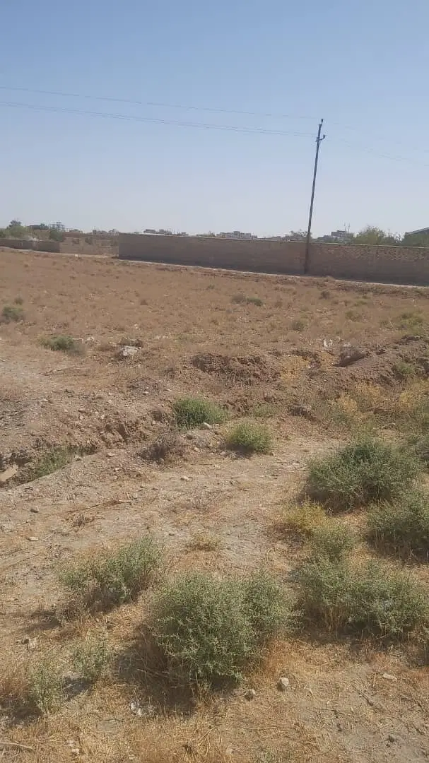 زمین گاوخانه مهردشت
