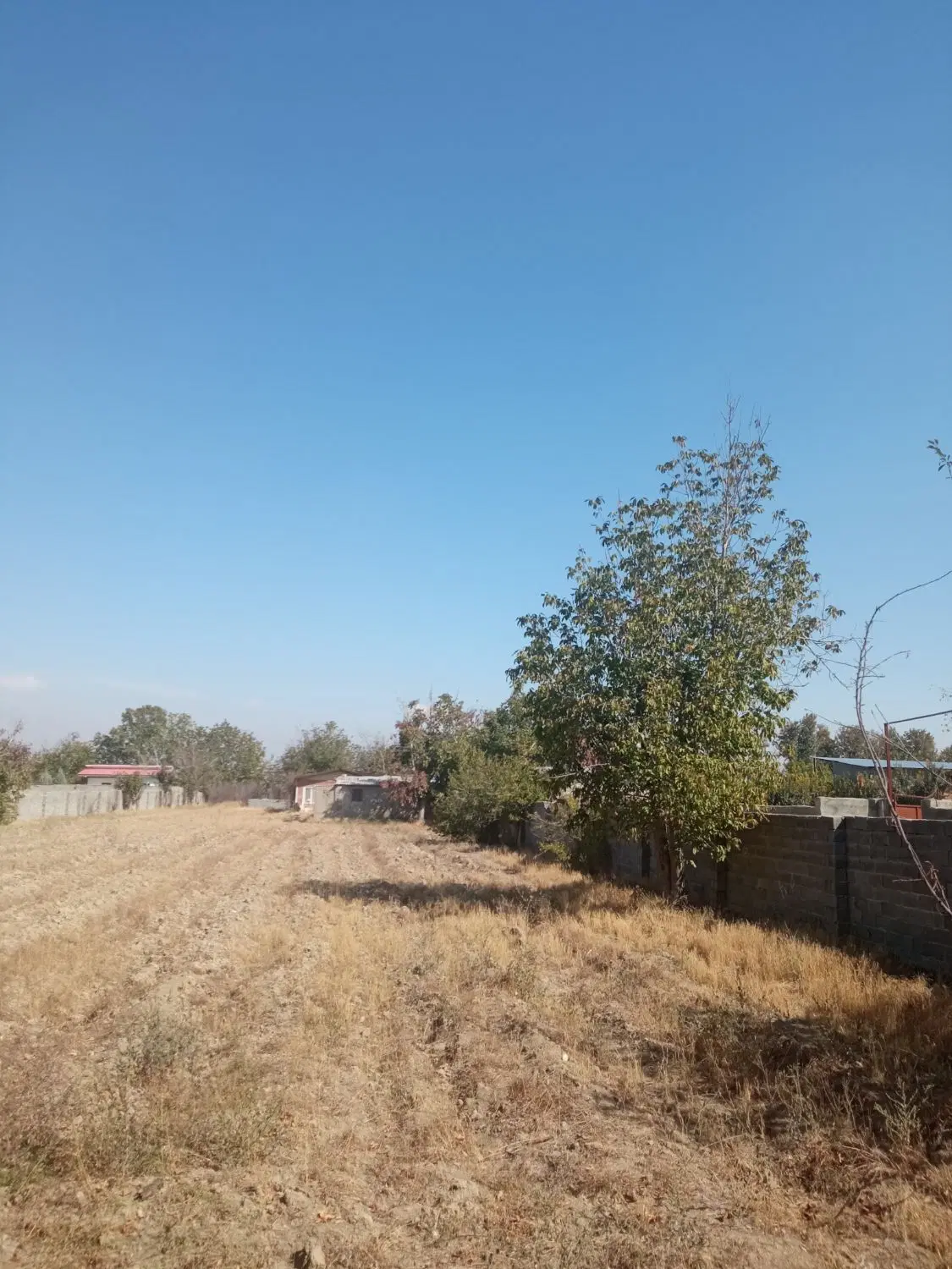 زمین ۶۰۰ متر در اسماعیل اباد