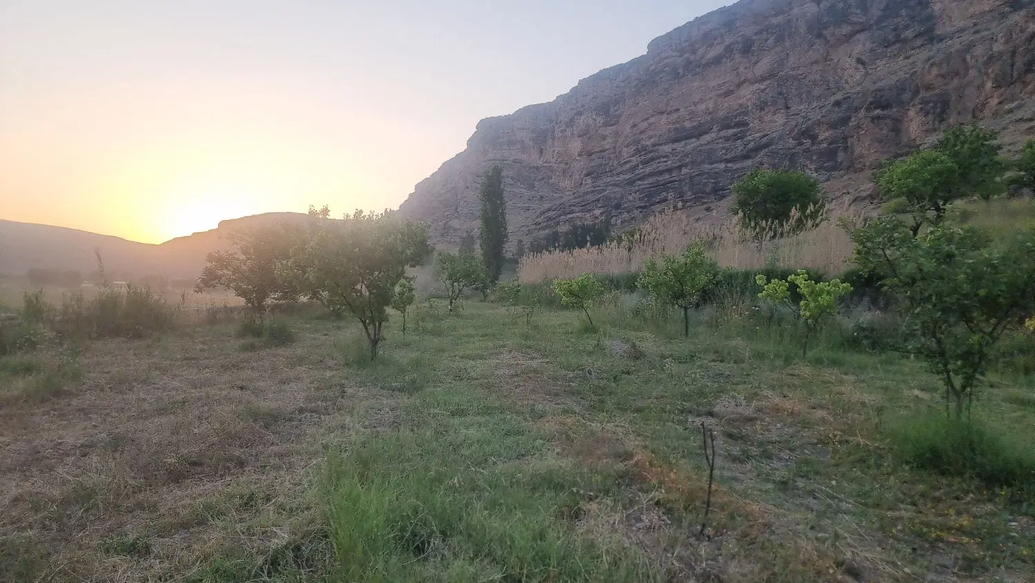 باغ دره رند