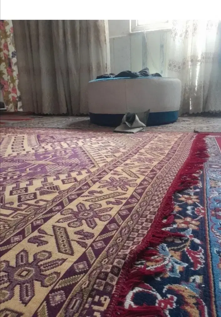 همخونه