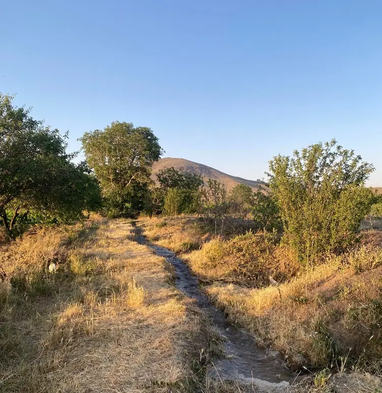 باغ روستای ورچق۲۷۰۰ متر بیست درخت میوه ۳۰۰متر زمین