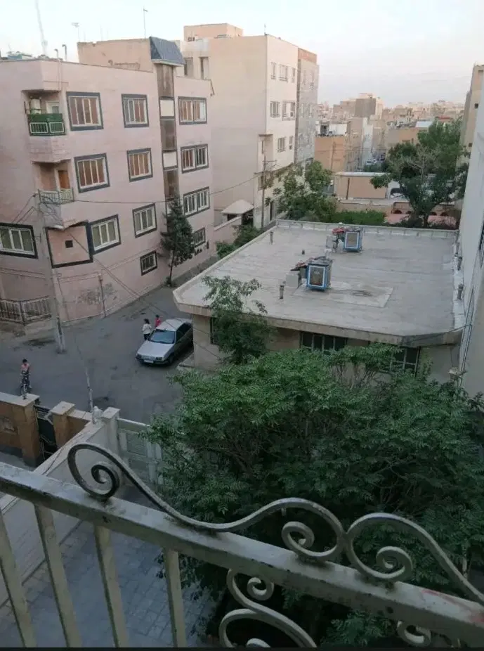 شاخه اصلی